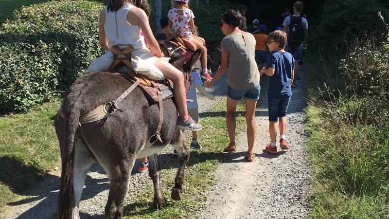 Départ de la balade à dos d'âne