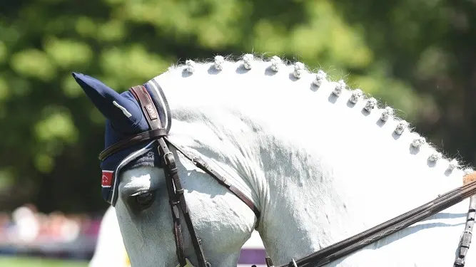 Dinard Émeraude Équitation