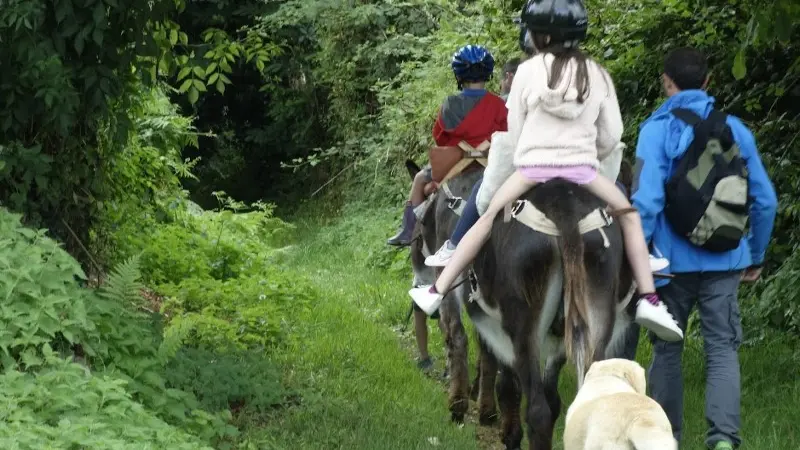 En chemin à dos d'âne