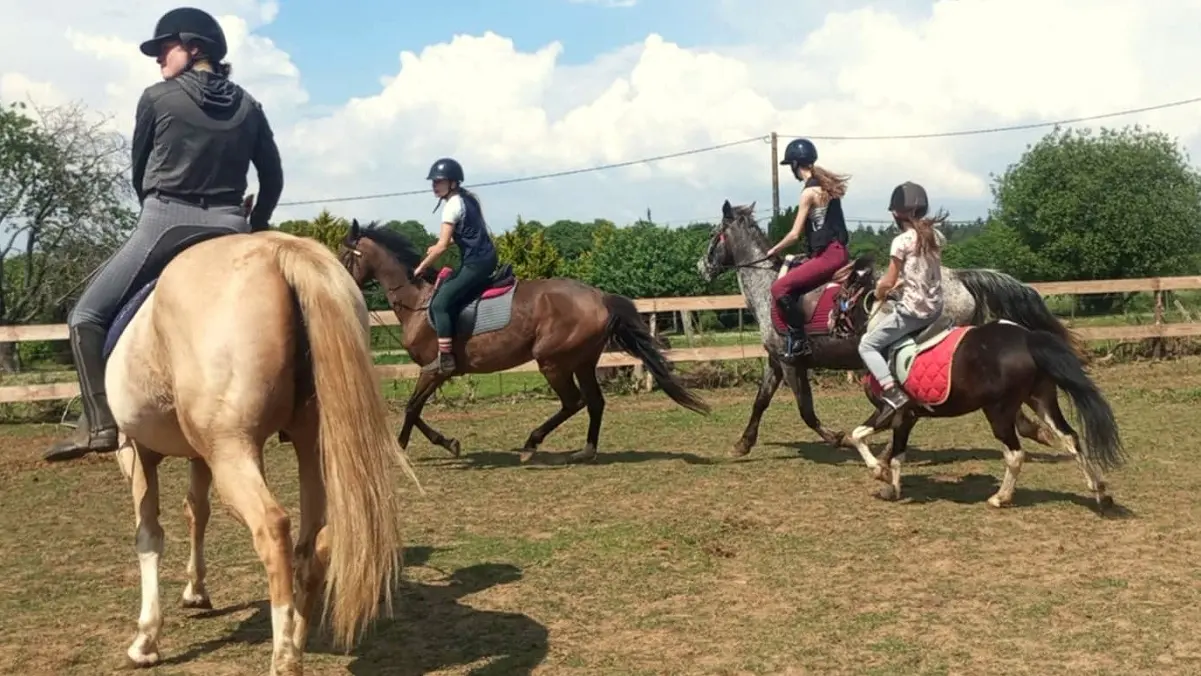 Entrainement à cheval