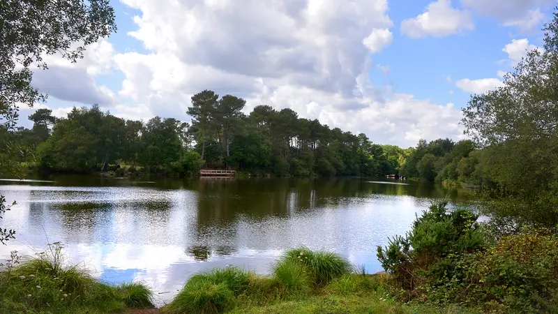 Etang-de-Tregu-Plelan-le-Grand