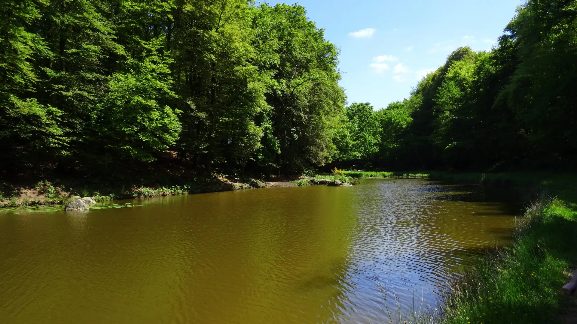 Etang-de-la-Croix-Madame