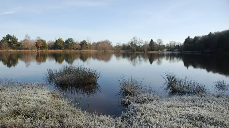 Etang de la Marette