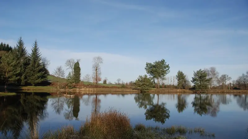 Etang de la Marette