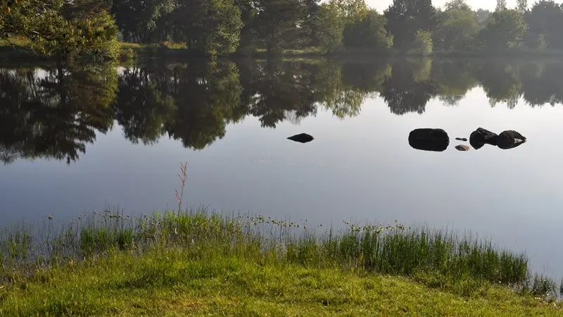 Etang de la Marette (3)