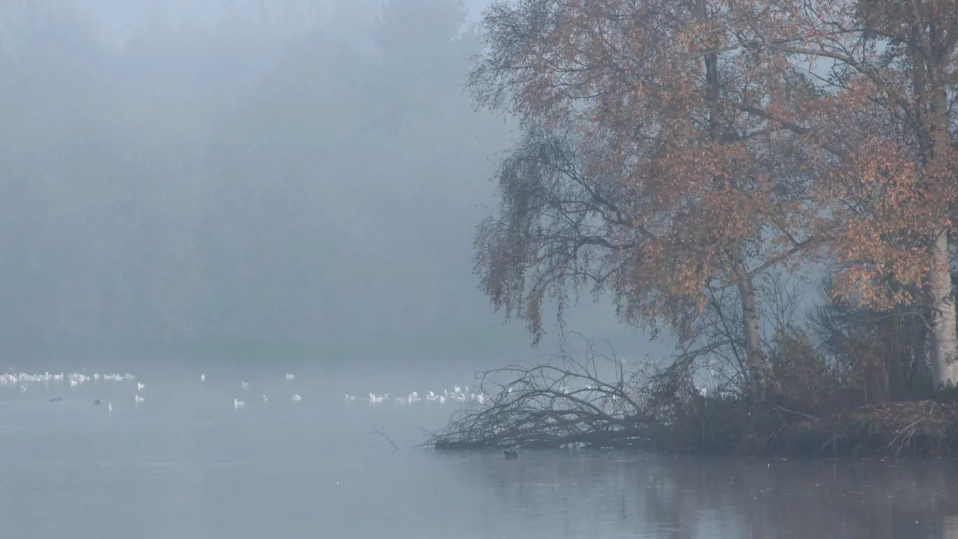 Etang de Blavon Bédée