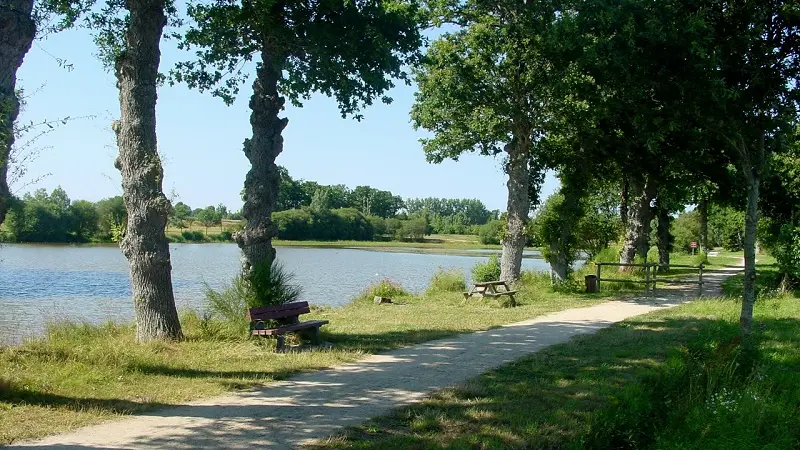 Etang de blavon