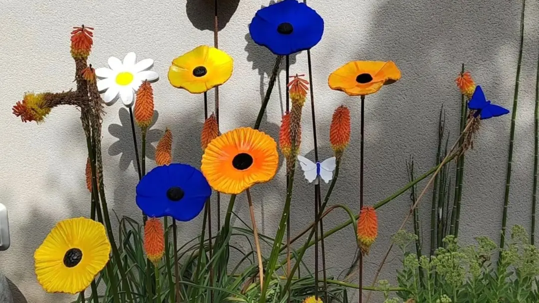 FLEURS KLEIN ET MAÏS
