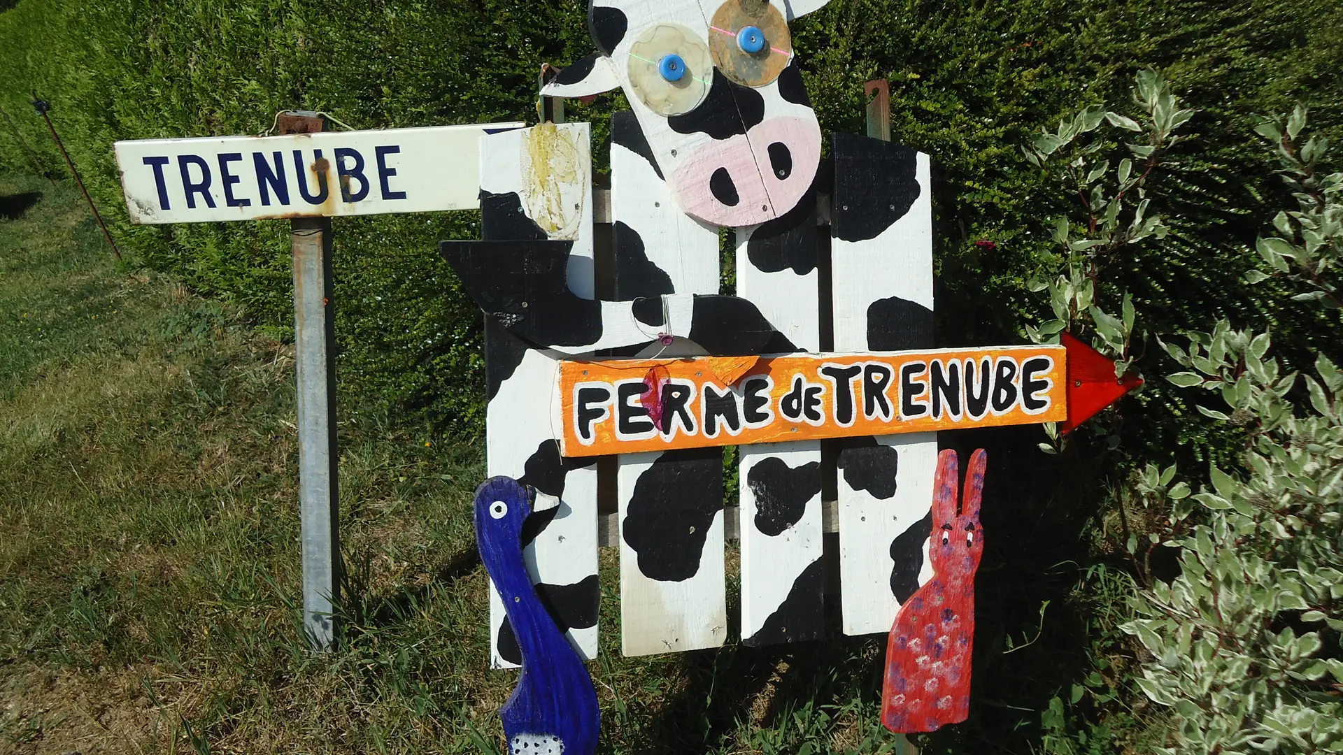 Ferme_Trénube_Talensac (1)