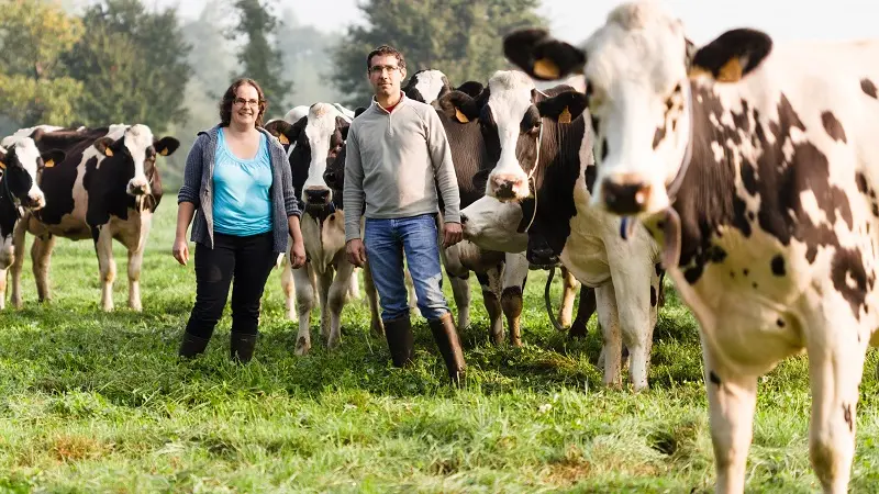 Ferme de Ville Pretre - Avec les Vaches