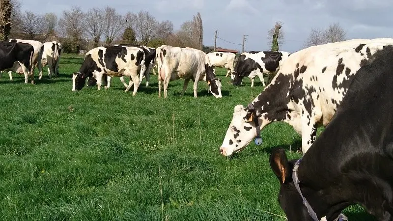 Ferme de Ville Pretre