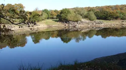 Forêt Domaniale du Mesnil