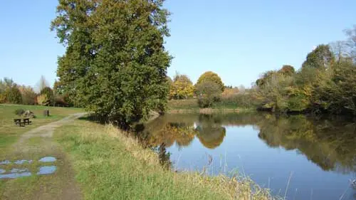 Forêt Domaniale du Mesnil