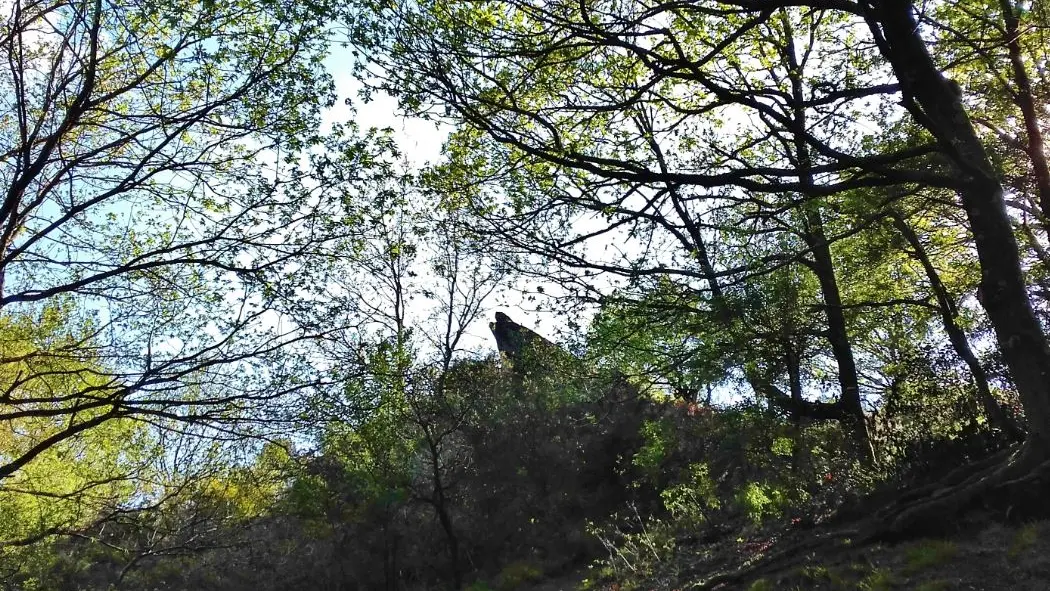 Le Vallon de la chambre au loup