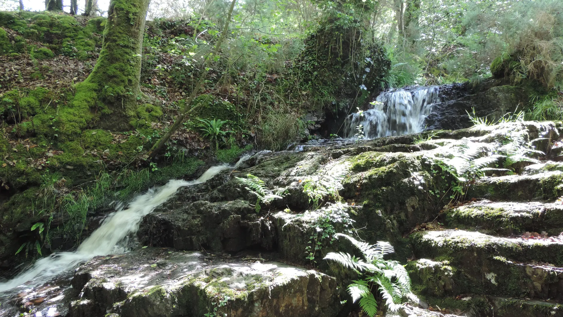 Gite-Le-Cellier-Paimpont-foret