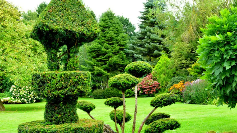 Les Jardins de la Pérouse du Mitan à Landéan