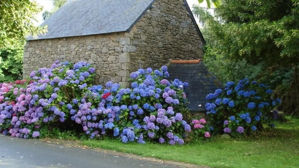 Chambres d'Hôtes La Chalandière - Miniac-Morvan