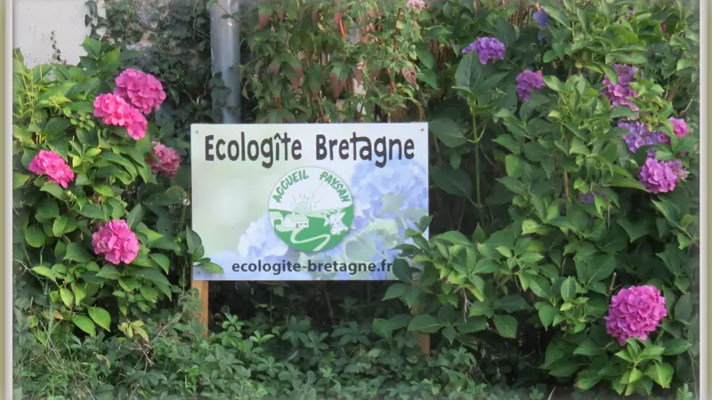 Ecologite PLEUGUENEUC