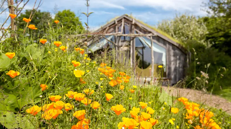 La Belle verte Les ecolodges à Saint-M'Hervé