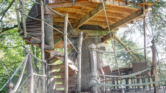 Cabanes dans les arbres Domaine des Ormes à Épiniac