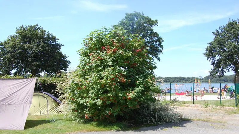 Camping du Domaine de Boulet