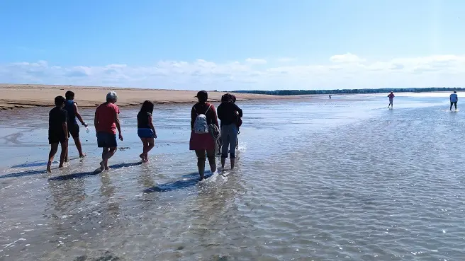 Balades commentées - La Maison de la Baie - Le Vivier sur Mer