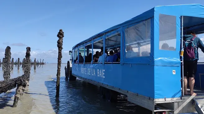 Balades commentées - La Maison de la Baie - Le Vivier sur Mer