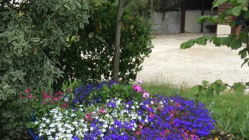 B&B Le Chat Perché - Cancale