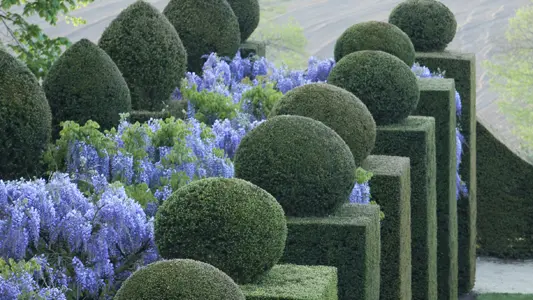 Jardins de la Ballue