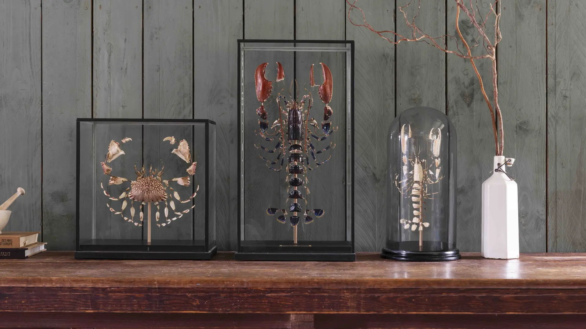 Kabañ - Atelier d'artistes