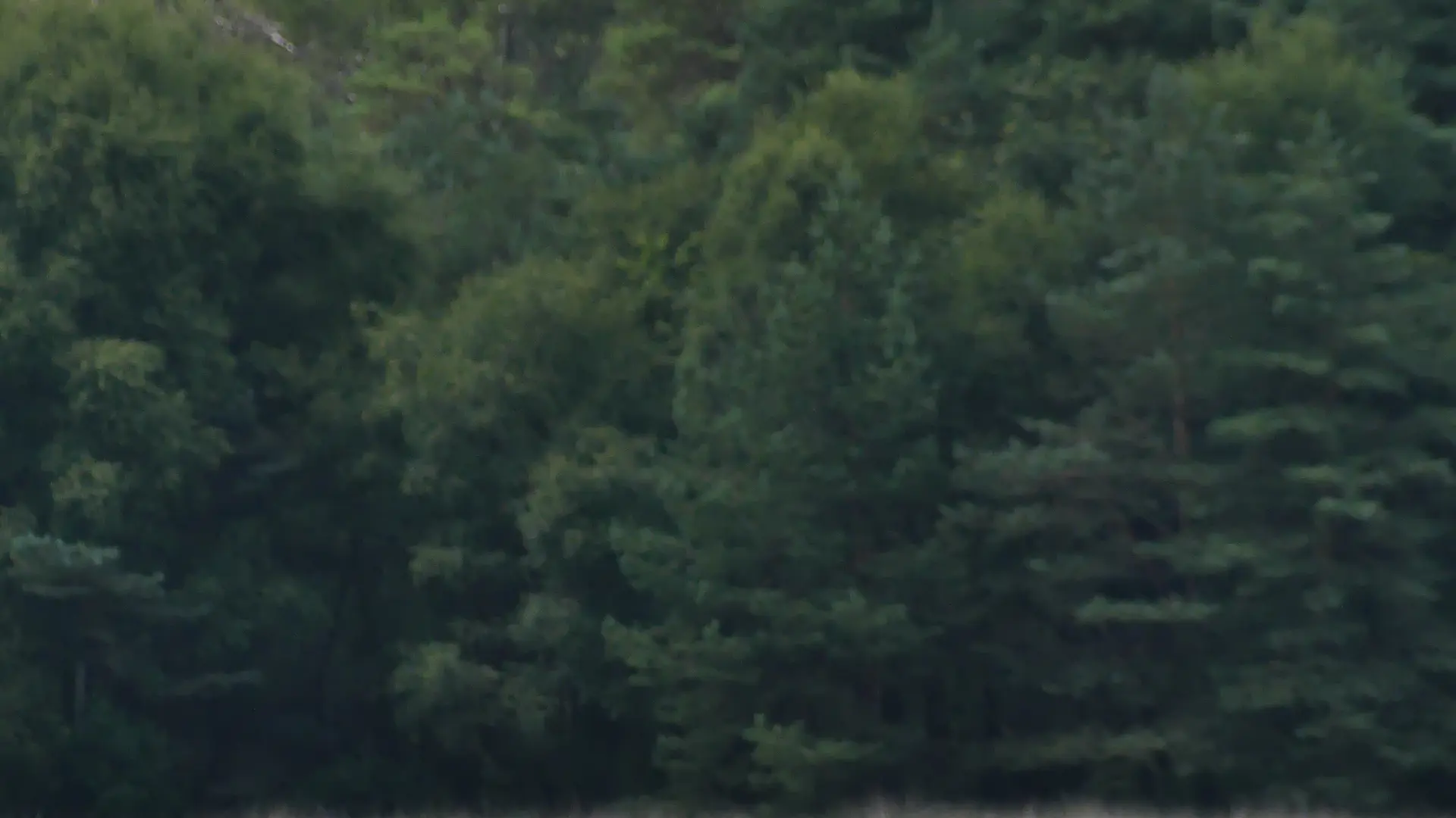 Kayak foret Brocéliande