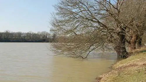 L'Etang de la Forge