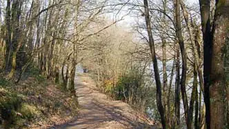 L'Etang de la Forge