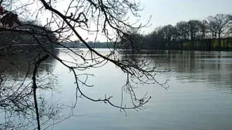 L'Etang de la Forge