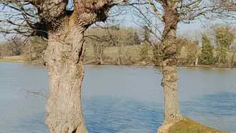 L'Etang de la Forge