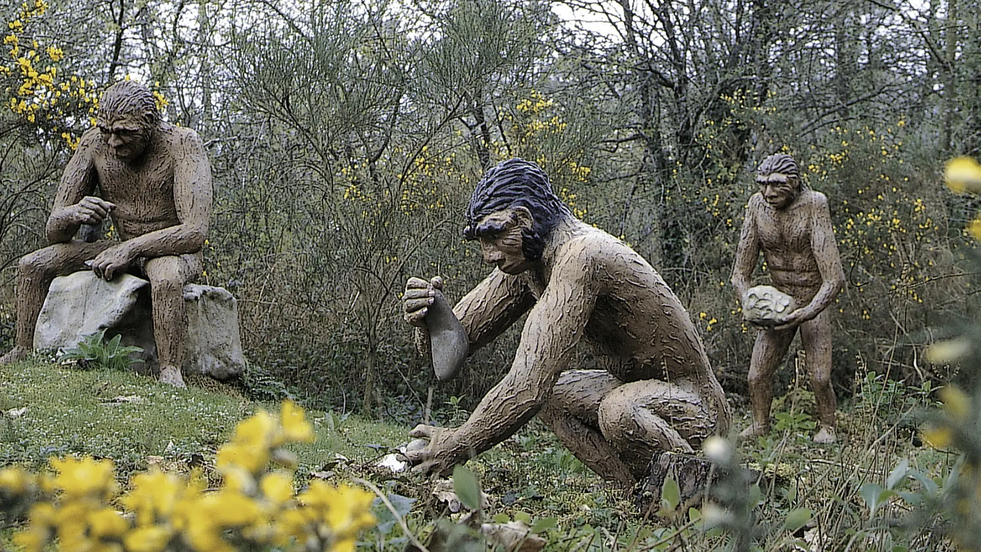 Parc de Préhistoire de Bretagne - hommes préhistoriques