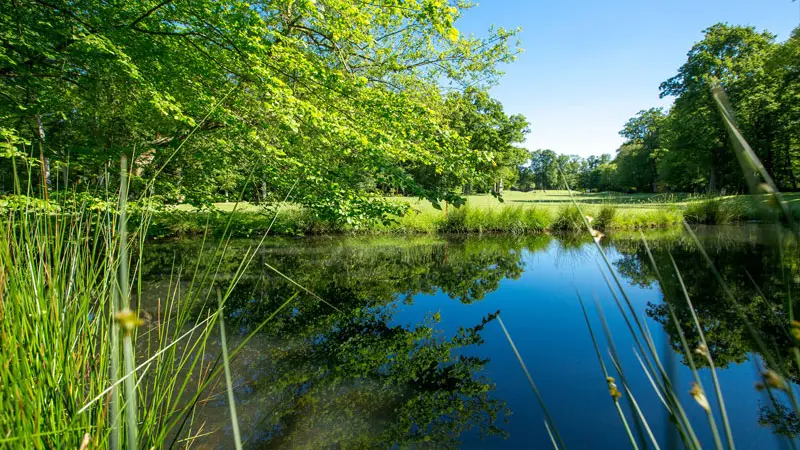 Golf de la Freslonnière - Le  Rheu