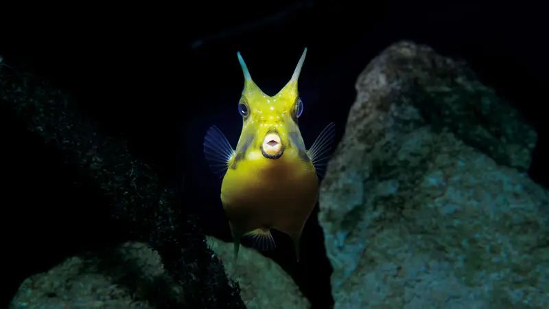 Grand Aquarium de Saint-Malo