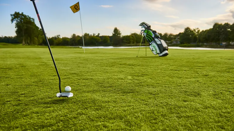 Golf du Château du Bois-Guy à Parigné