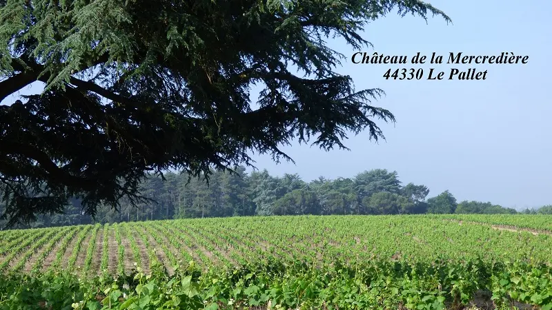 Le Vigneron du Muscadet - Cancale