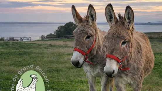 La Ferme du Grand Porcon