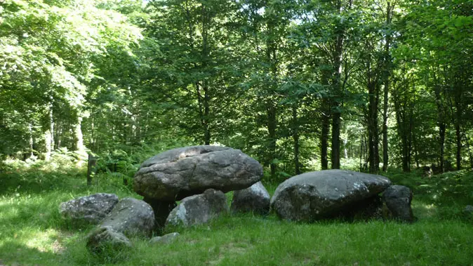 La Forêt de Fougères