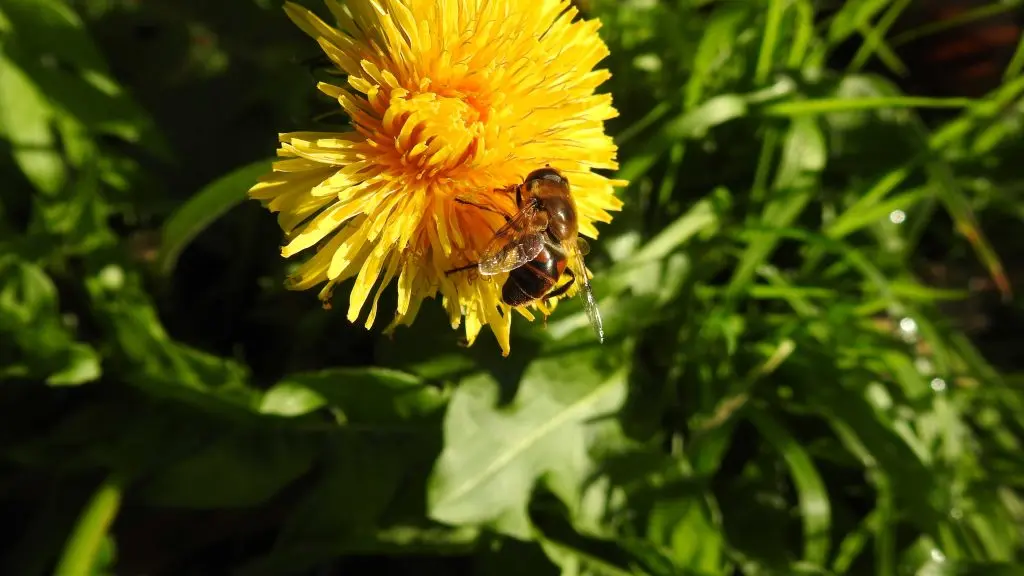 La Nature à Votre Porte