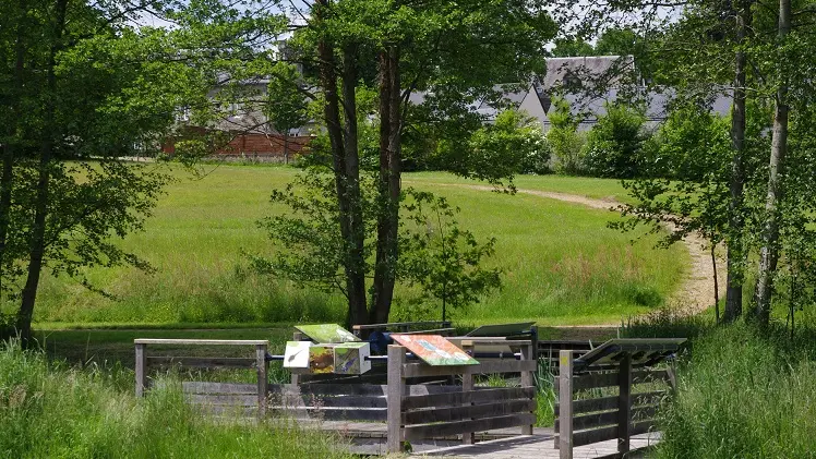 La passerelle du Jardin de l'eau