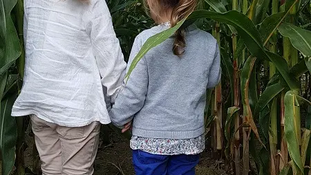 Labyrinthe de Maïs de Combourg