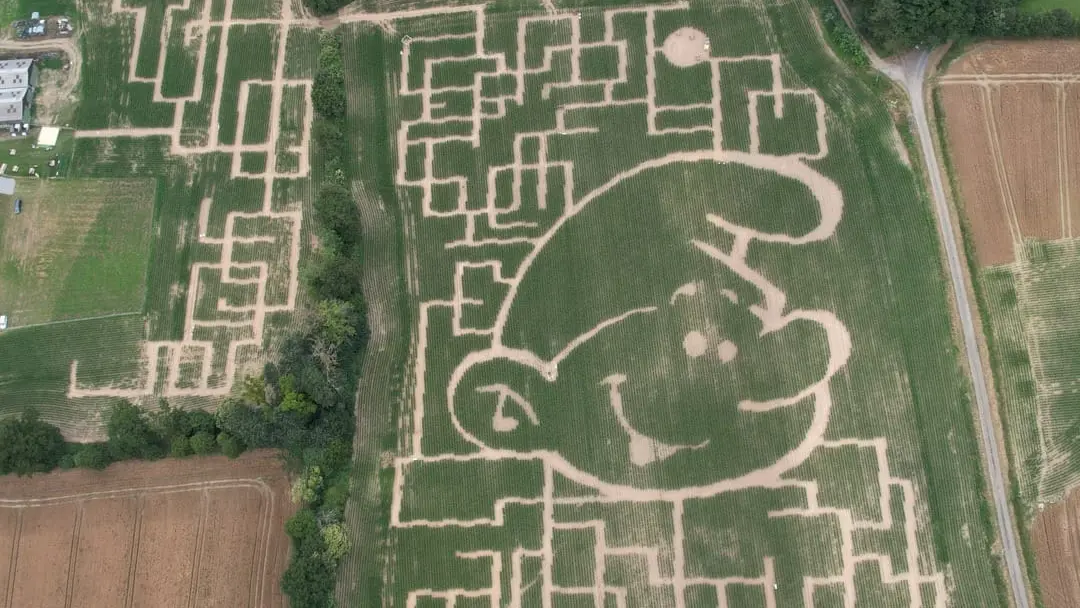 Labyrinthe de Maïs de Combourg