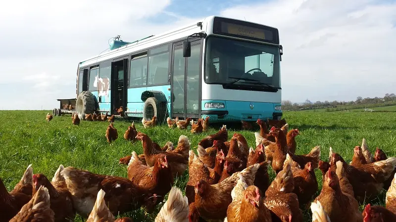 Commerces Gourmands - Ferme des Cara Meuh! - Vains