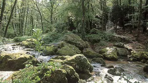 Les Roches du Saut Roland