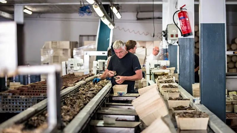 Loisirs-Ferme Marine-Cancale