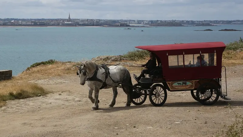 Loisirs-Les Chevaux de la Mer-Saint-Malo